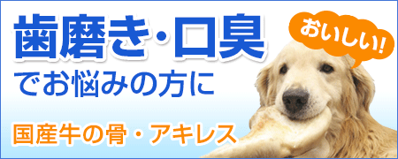 歯磨き・歯固め・口臭対策におすすめ商品